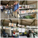 created by photogrid